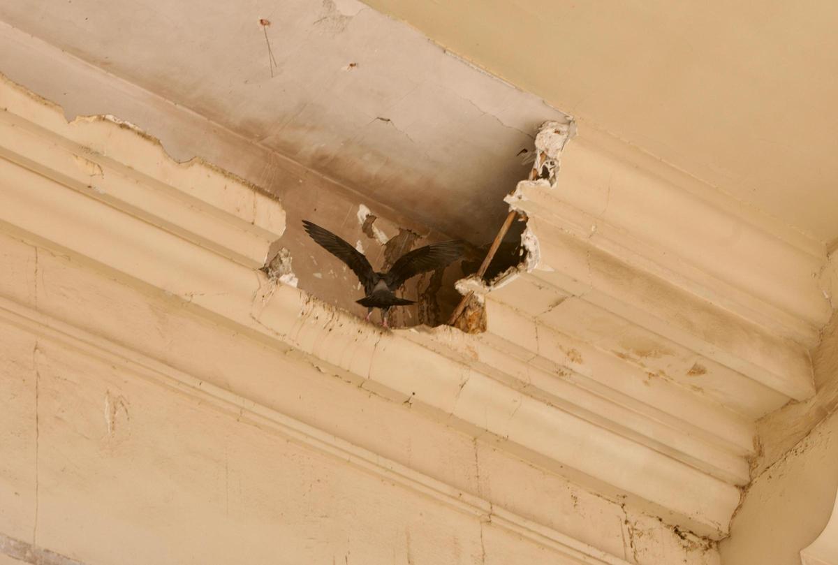 Las palomas han anidado en algunos elementos del inmueble.