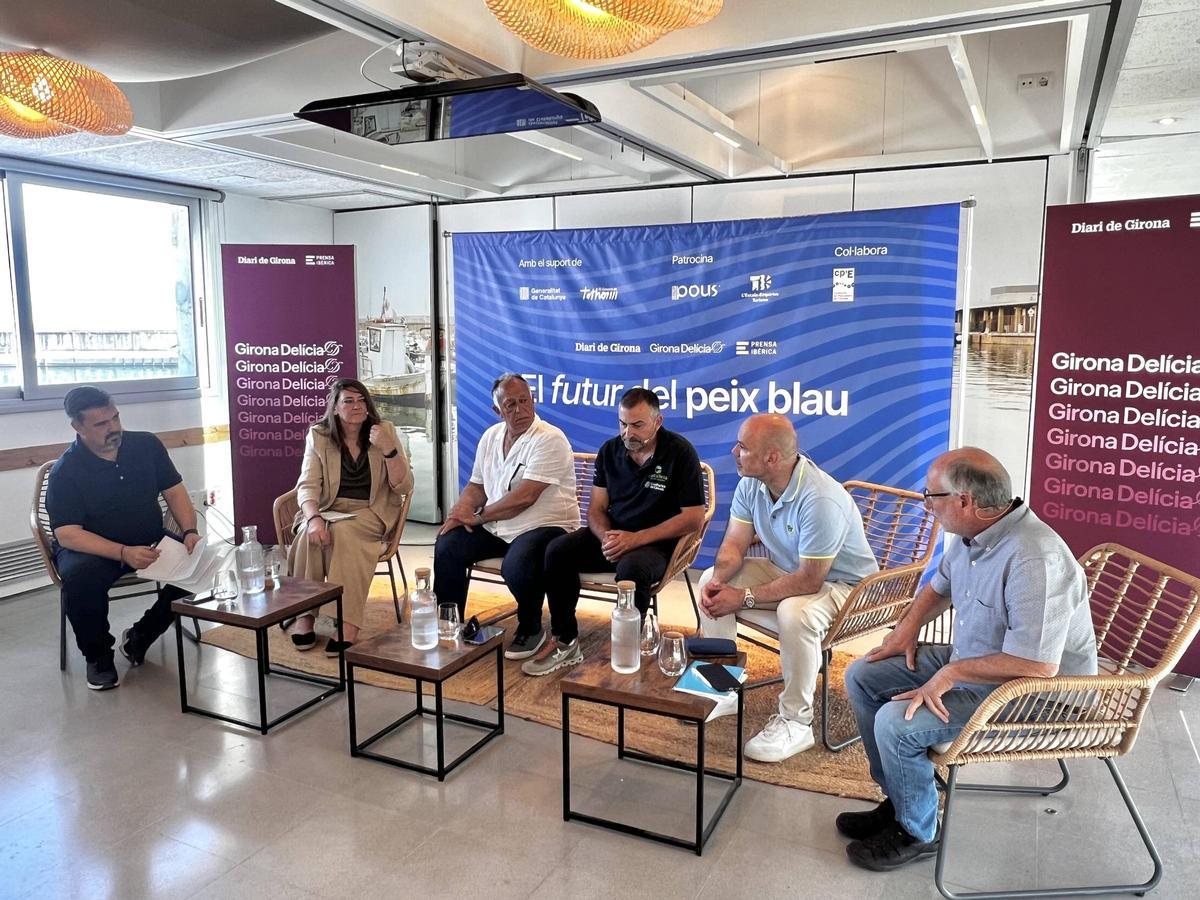 Les imatges de la taula rodona "El futur del peix blau"