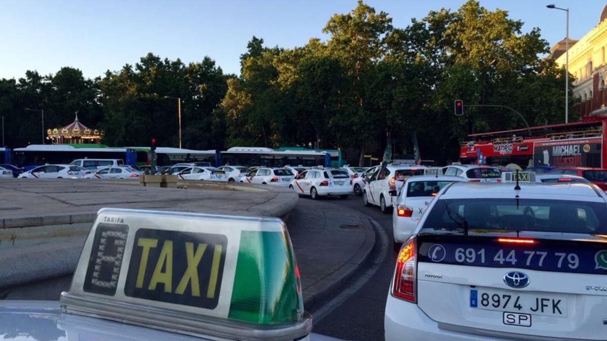 taxistas-glorieta-carlos-v