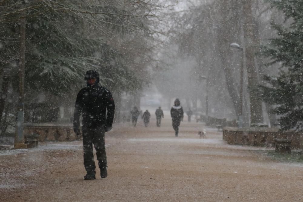 Primera nevada en Zamora capital