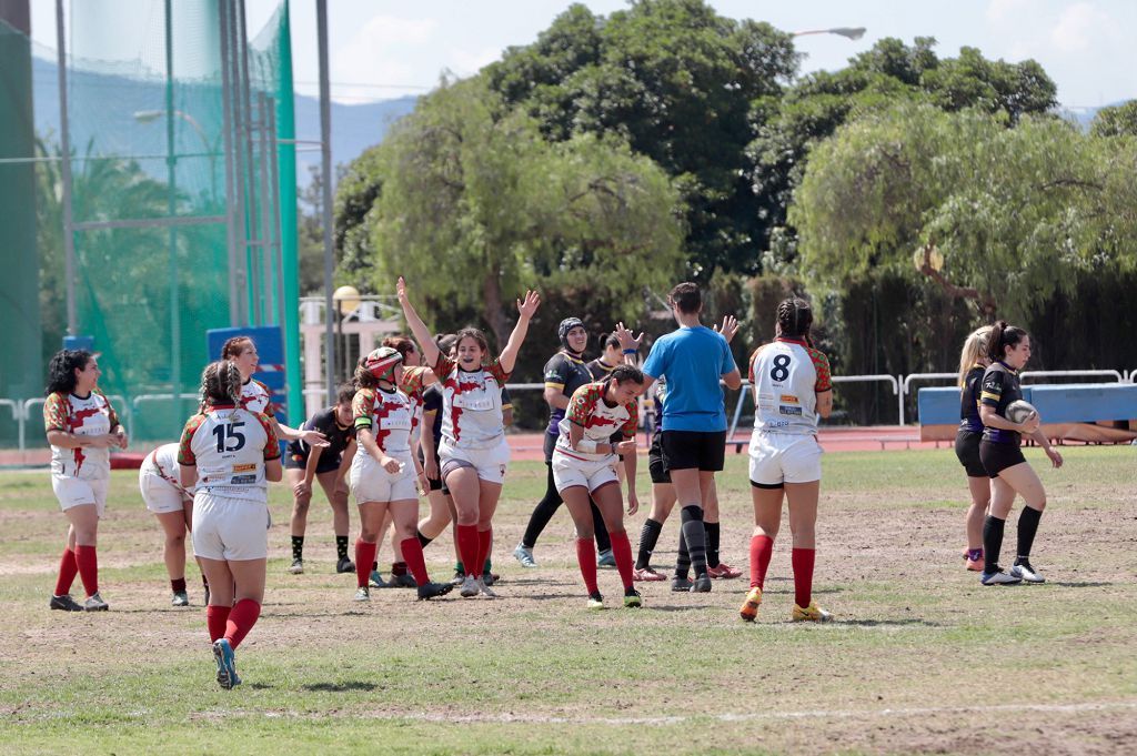 Torneo de rugby