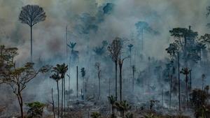 zentauroepp49546073 handout aerial picture released by greenpeace showing smoke 191022172828