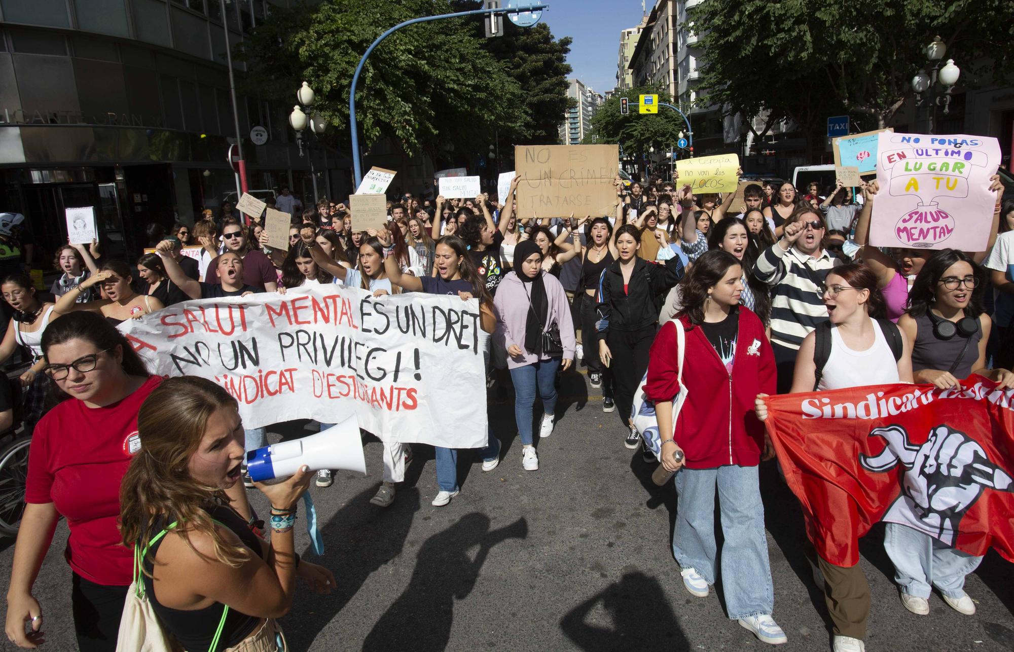 Estudiantes de Alicante reclamar más medios para la salud mental a Sanidad