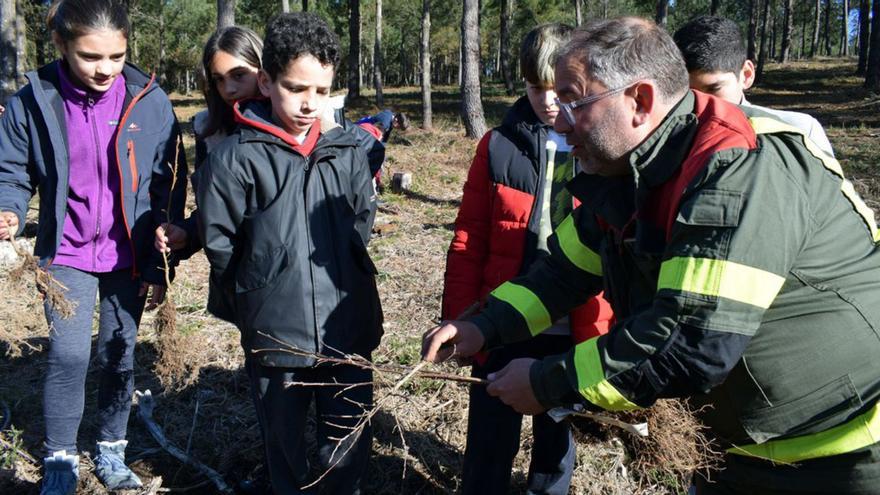 400 árboles para conmemorar el Día Forestal Mundial en Valga