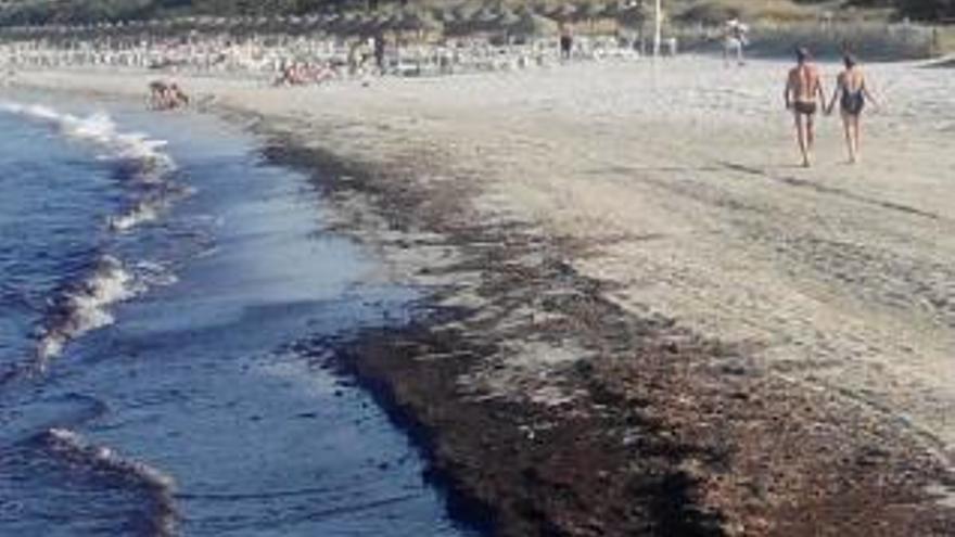 An dieser Stelle stören Geruch und verfärbtes Wasser die Menschen