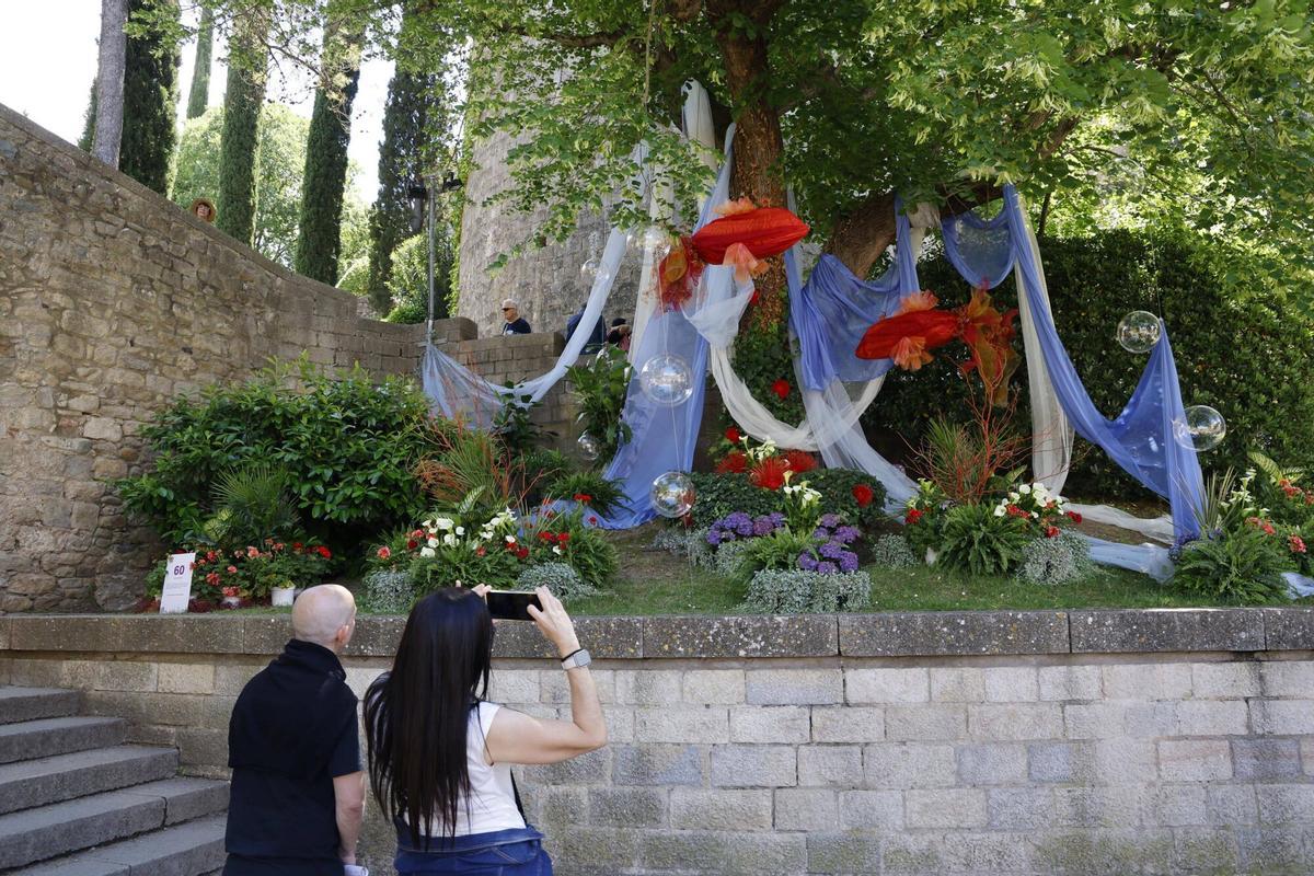 Les imatges de l'últim dissabte de Temps de Flors 2026