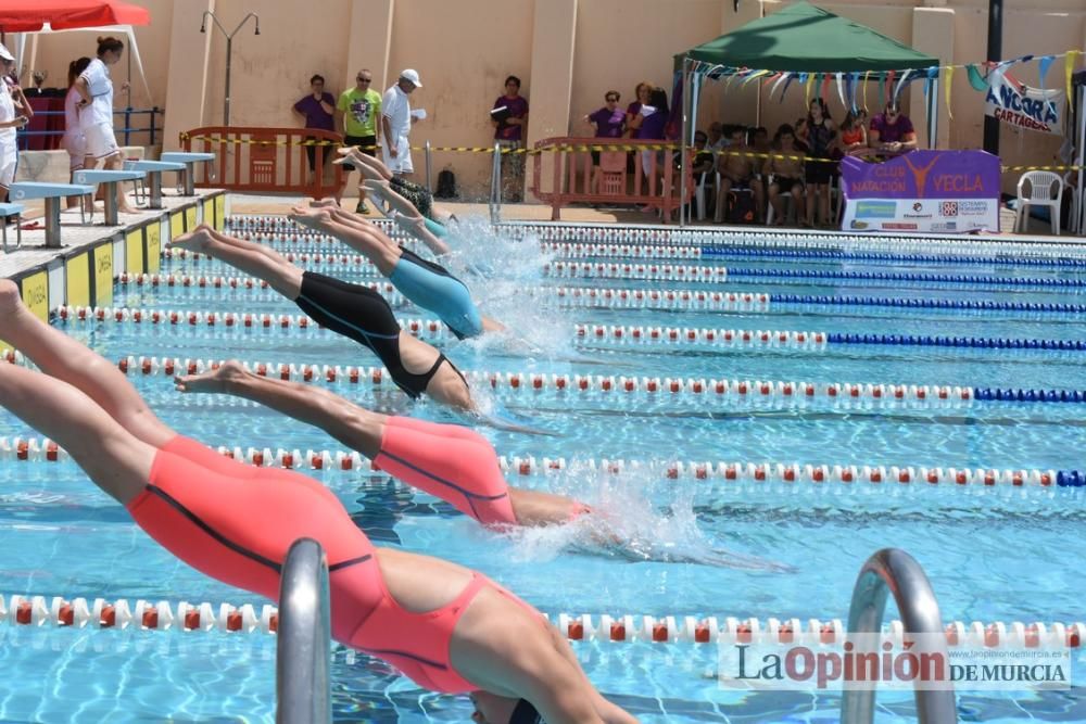 Final del Campeonato regional de natación.