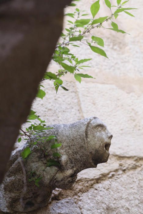 Pany de la Muralla Romana