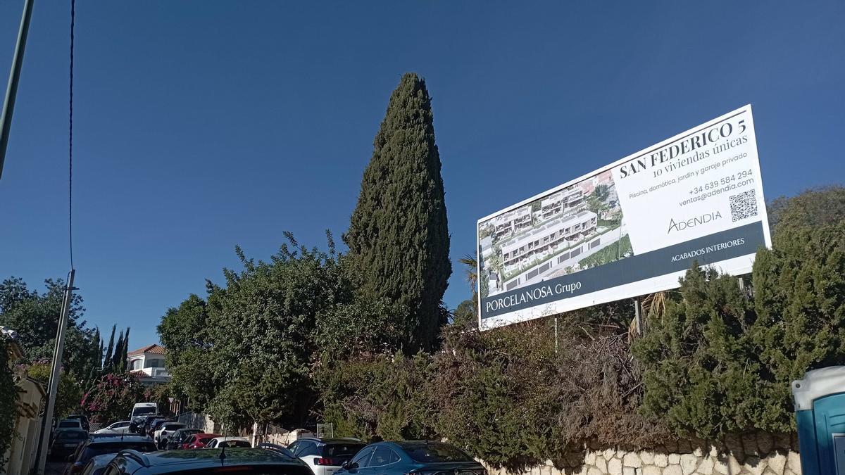Imagen del ciprés desde la calle San Federico, junto a un cartel de la promoción vecina.