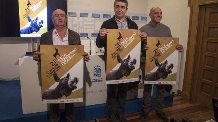 José María Nieto Vaquero, Rafael Caballero y Jesús de Gabriel durante la presentación de la feria del burro zamorano-leonés de San Vitero.