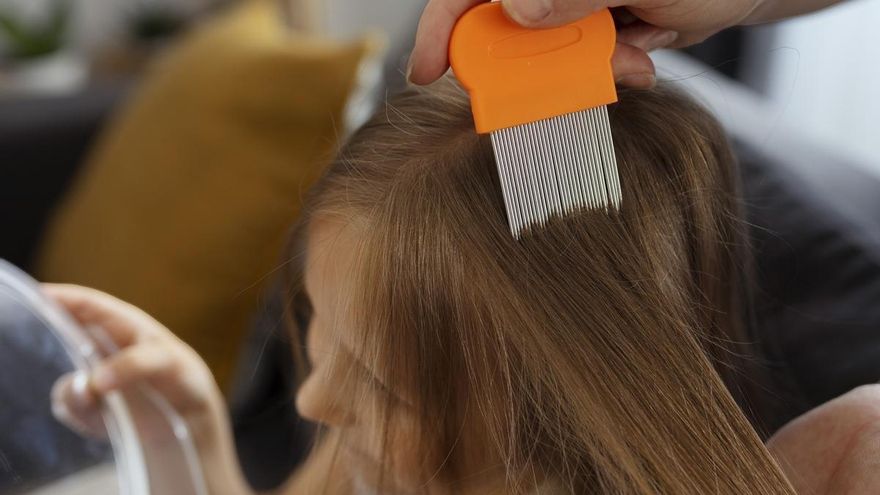 Piojos en la vuelta al cole: causas, prevención y tratamientos efectivos para eliminarlo