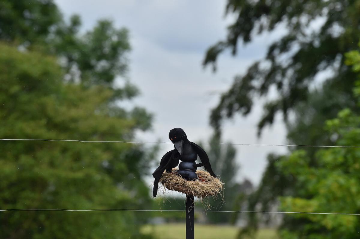 Mil y un espantapájaros en el festival de Durrow (Irlanda)