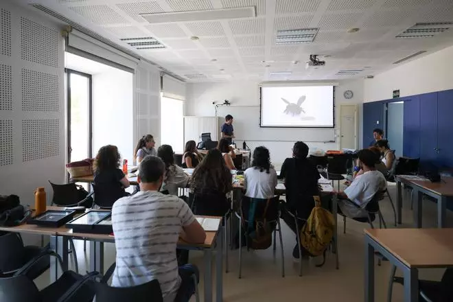 Un taller para identificar las abejas silvestres de Baleares