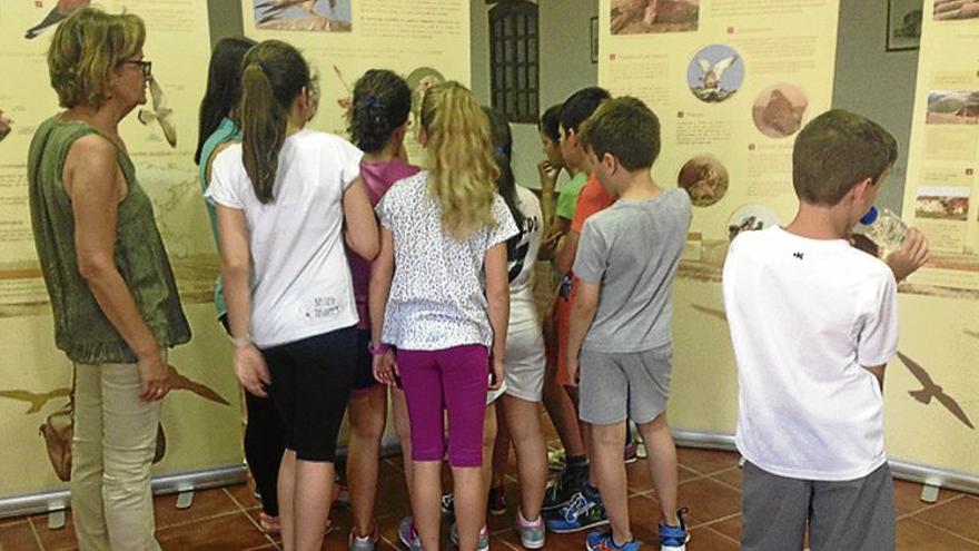 Alumnos visitan el observatorio del primilla