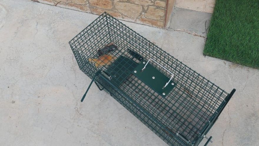 La jaula con la que se atraparían a los animales.