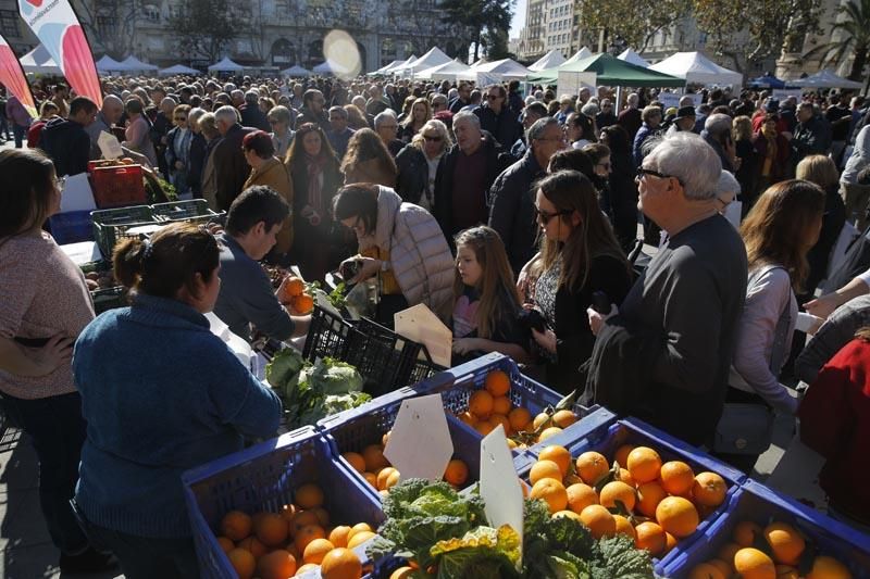 Los productos de proximidad llegan a la ciudad en "De l'horta a la plaça"