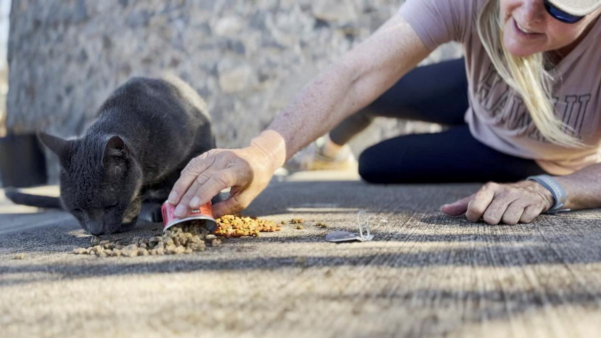 Susie Richter, dando de comer a sus gatos en Hawai
