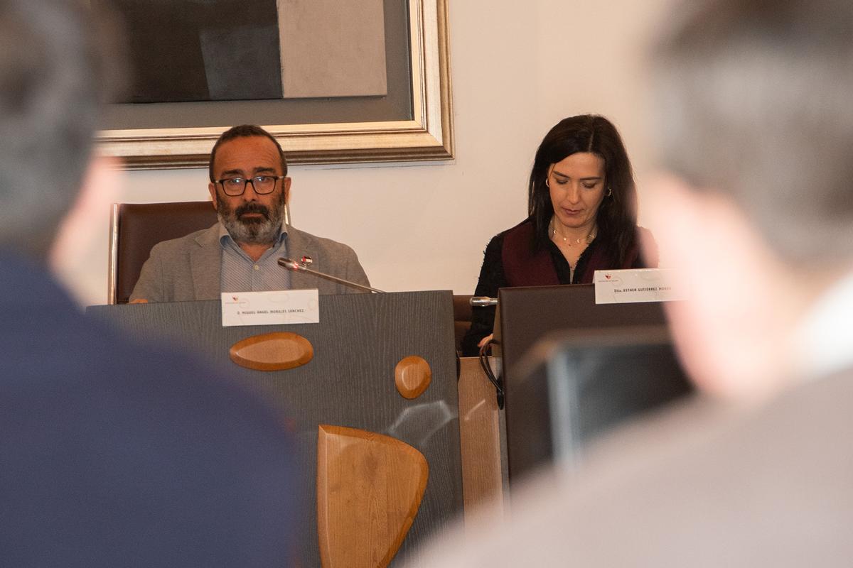 Miguel Ángel Morales y Ester Gutiérrez, durante el pleno en la diputación.