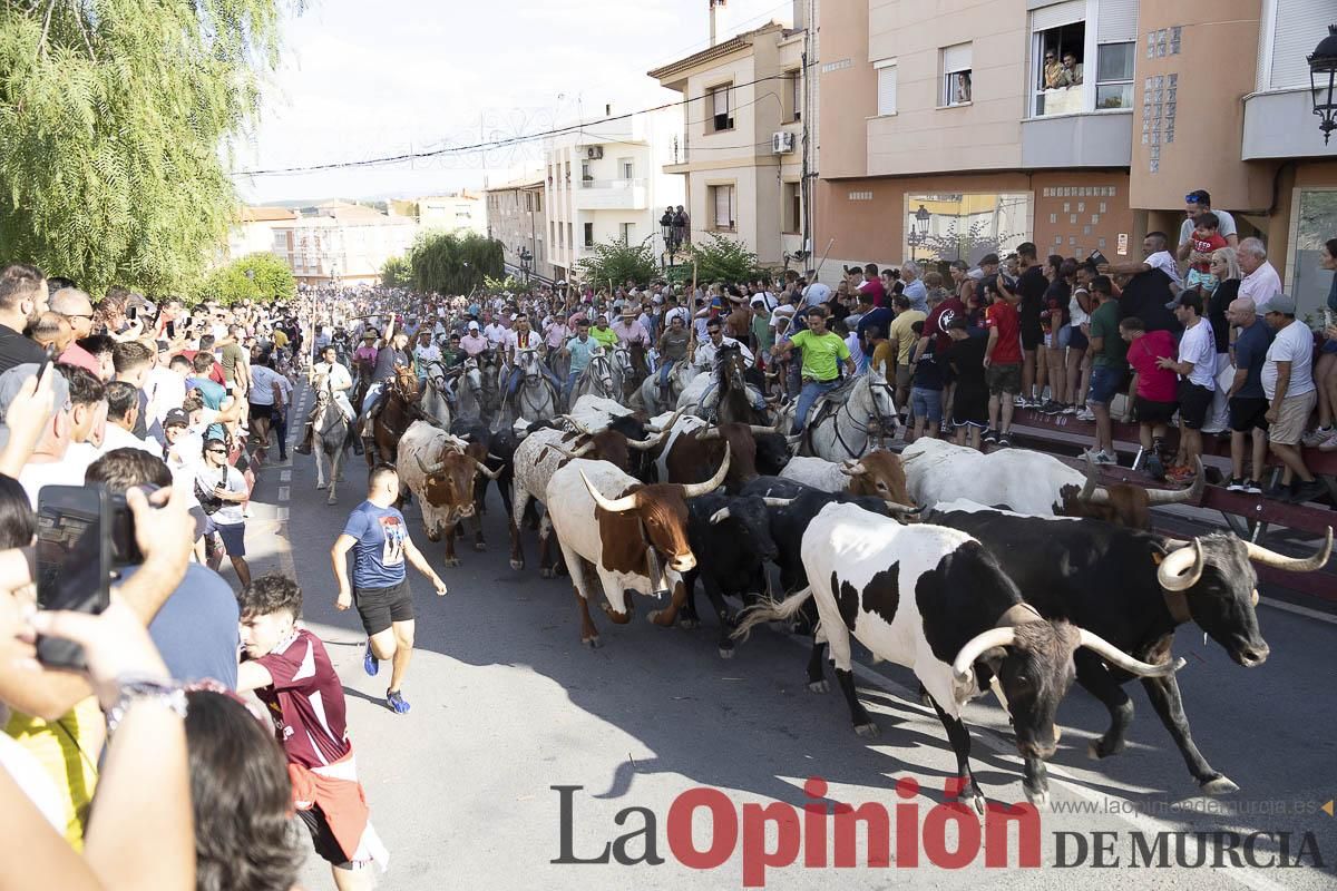 El segundo encierro de las Fiestas de Moratalla se salda con un herido