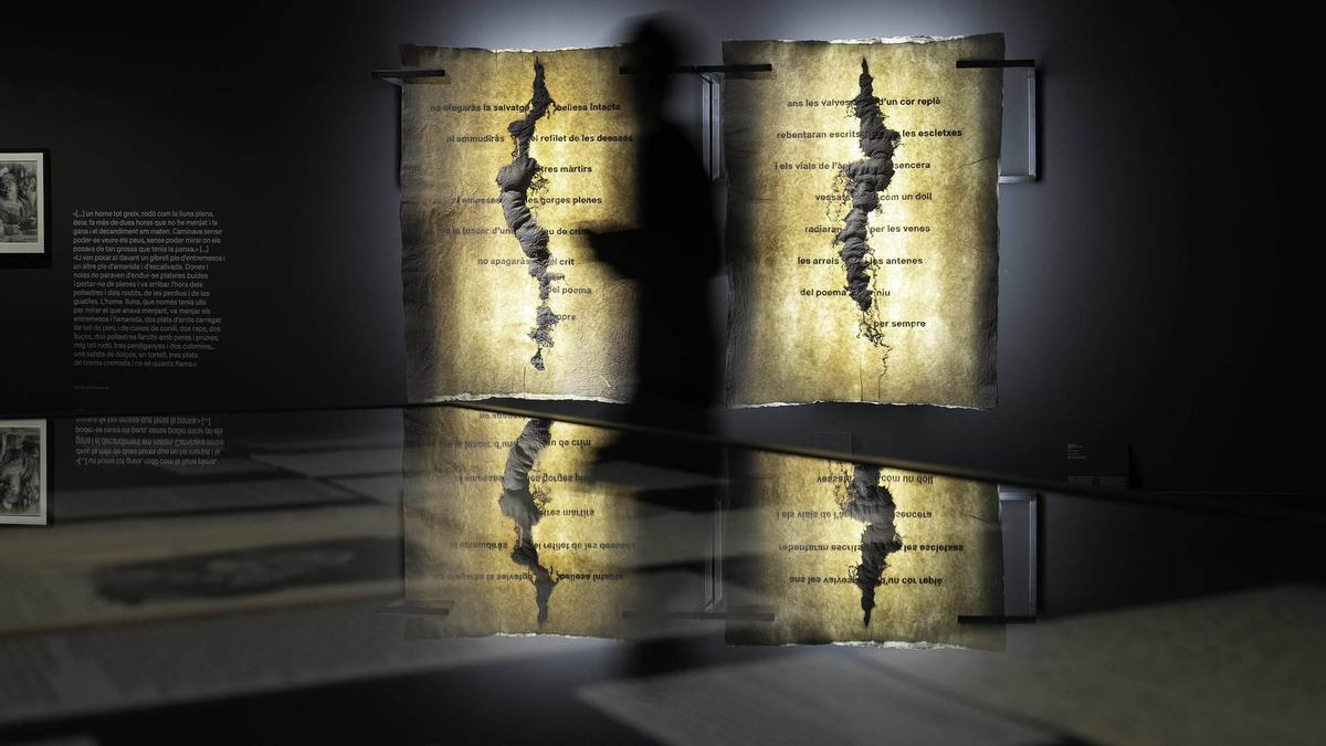 Exposición «Rodoreda, un bosque» sobre Mercè Rodoreda en el CCCB