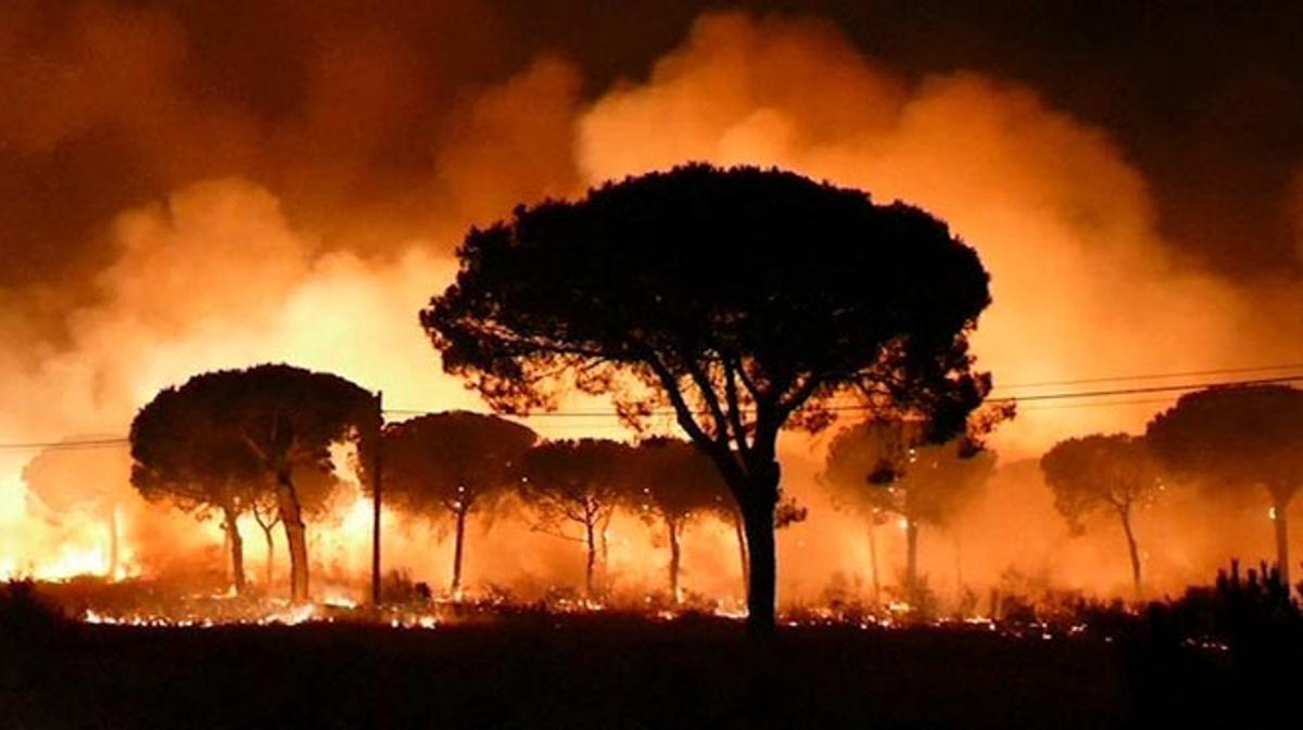 L’incendi declarat ahir a la nit al paratge La Peñuela de Moguer (Huelva) ha entrat a l’Espai Natural de Doñana.