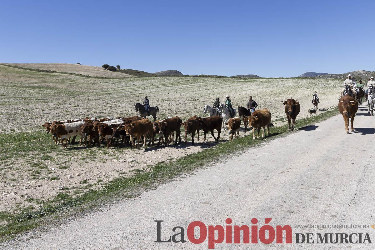trashumancia/Ganadería La Junquera_008