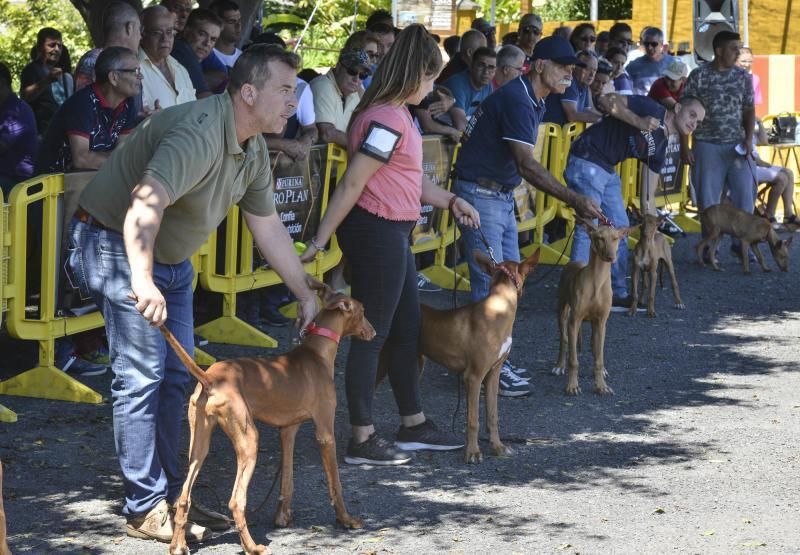 Feria Insular de Caza