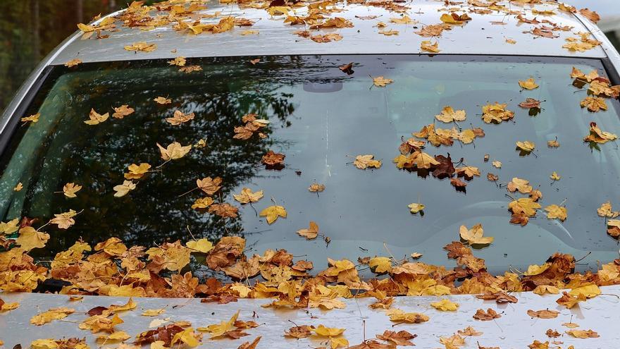 Nunca más tendrás el parabrisas del coche sucio: así debes limpiarlo para eliminar hojas y mosquitos