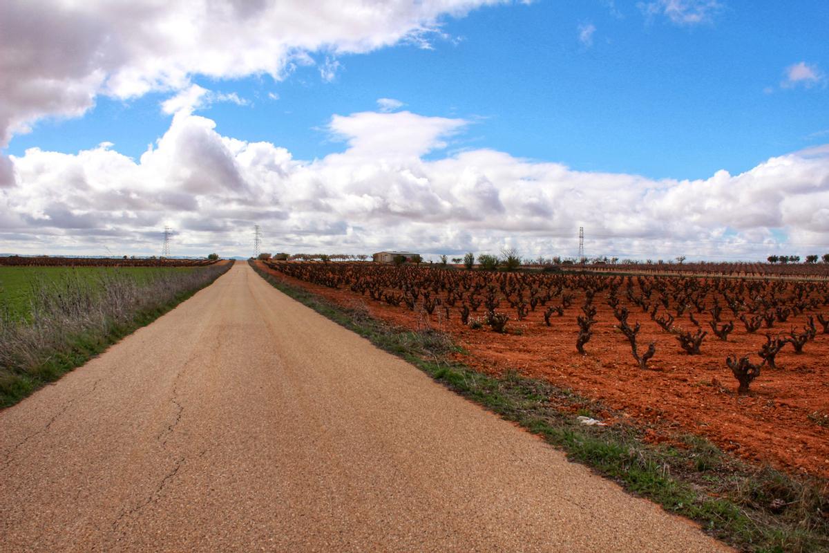 La Manchuela, tierra de vinos con Denominació de Origen