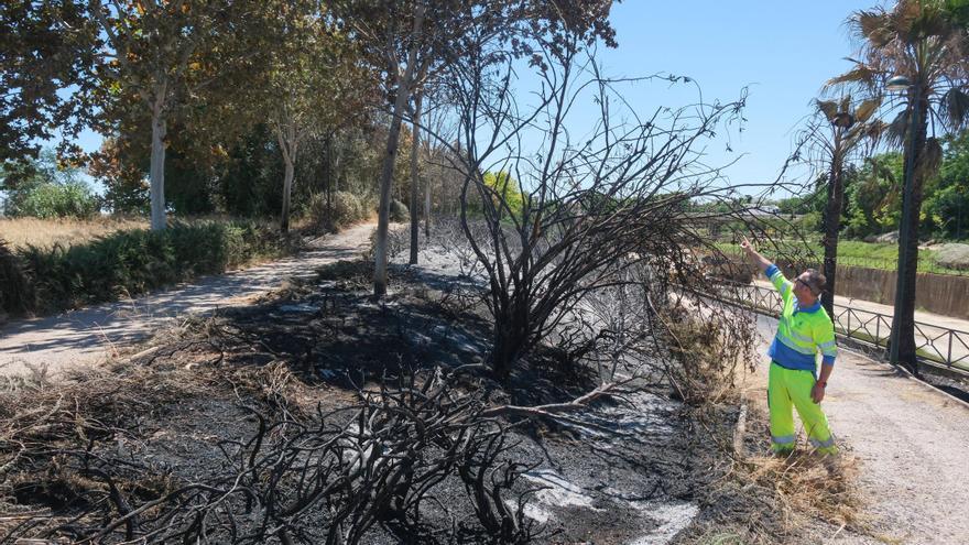 Los incendios intencionados arrasan los parques del Rivillas y el Calamón en Badajoz
