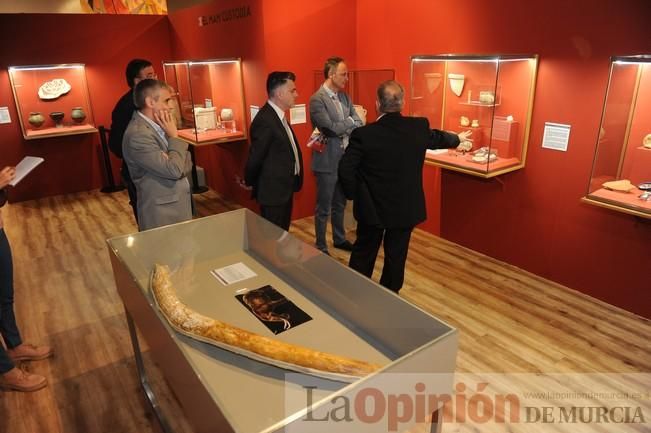 Muestra ´MAM X´ en el Museo Arqueológico de Murcia