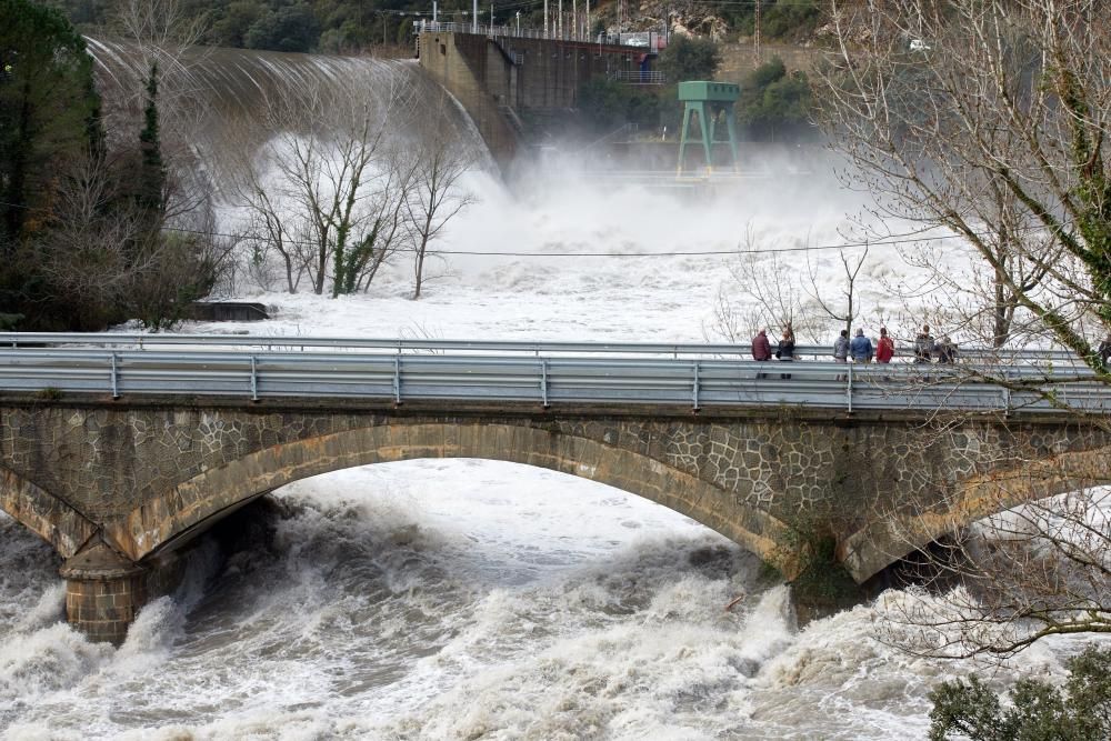 El riu Ter, al seu pas per la presa del Pasteral a la Cellera de Ter