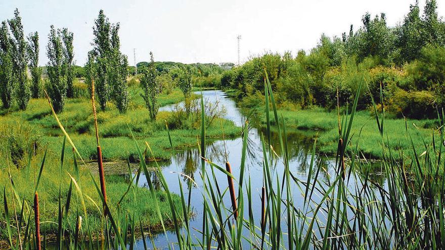 Laguna Primera de Palos (Huelva).