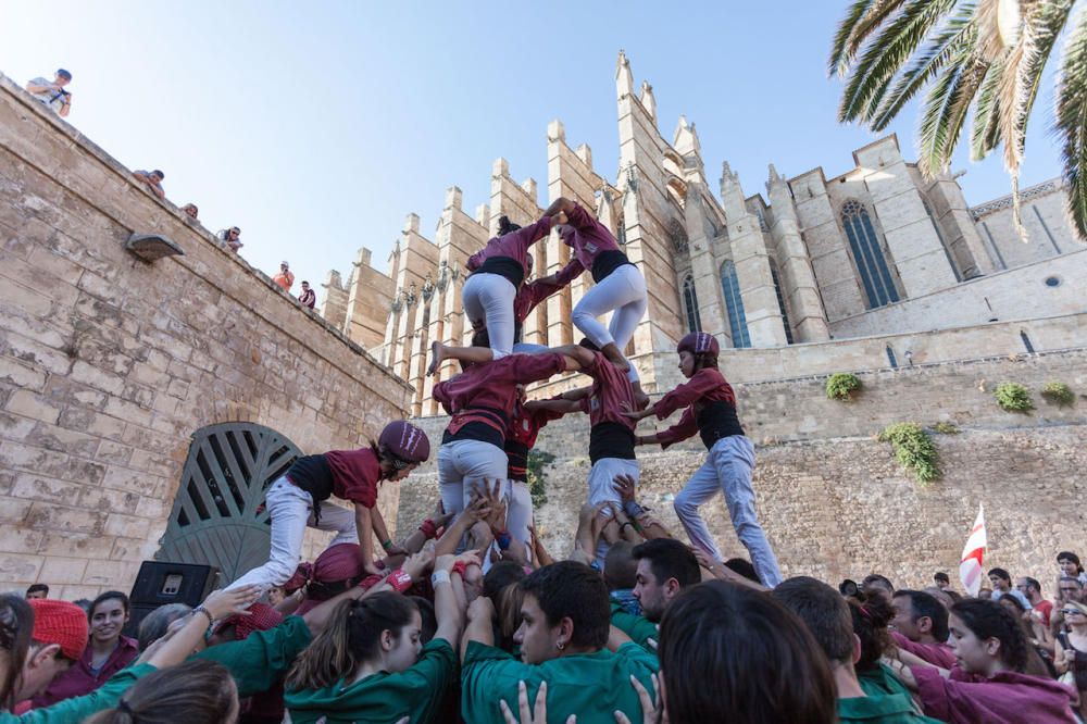 Diada de la OCB