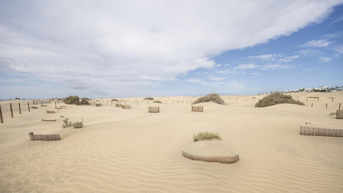 Imagen de los balancones del proyecto Masdunas II en junio de 2025.
