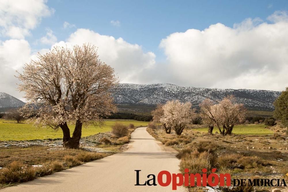 Nieve en el Noroeste