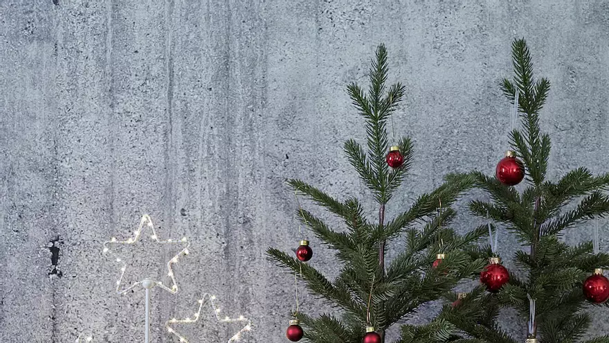 Elige tu árbol en Navidad más sostenible en Ikea desde 9 euros