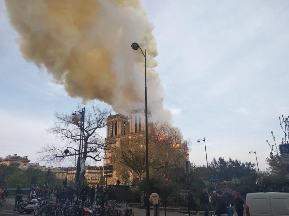 Así vieron el incendio estudiantes de Elche