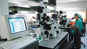 zentauroepp11083222 laboratorio de fiv200626115741