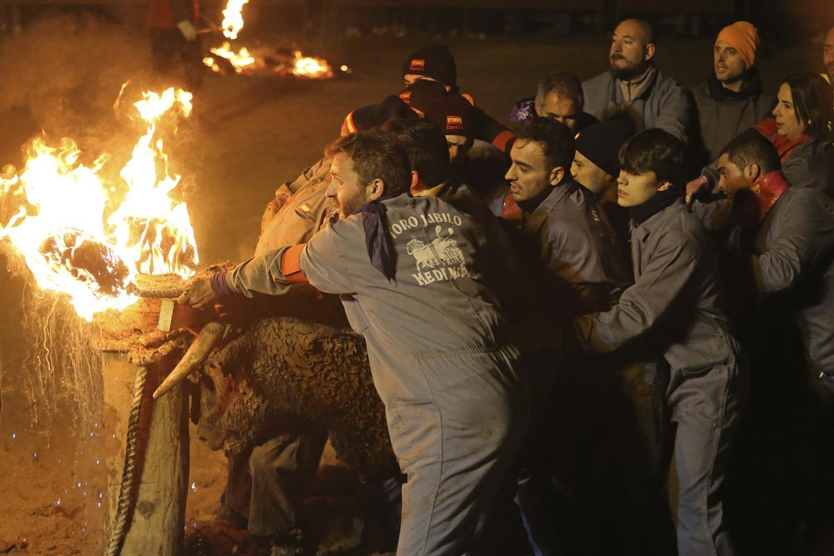 Medinaceli cumple, sin incidentes, con su tradición del toro jubilo