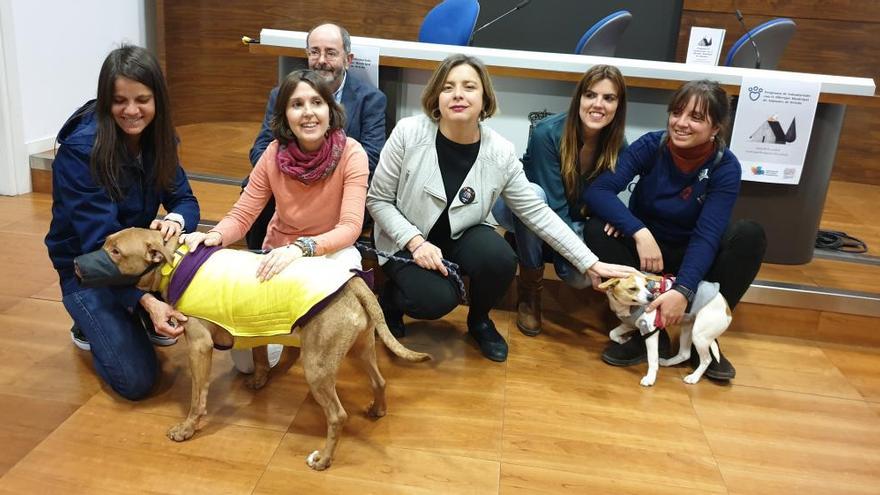 Oviedo pone en marcha un programa de voluntariado en el Albergue de Animales