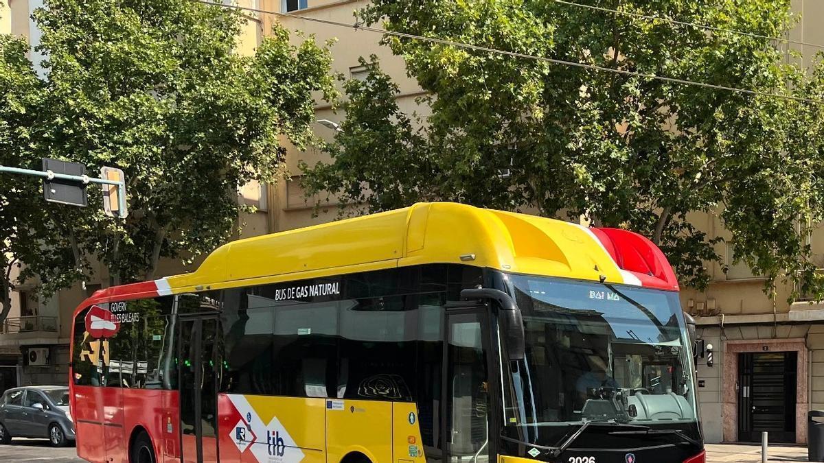 Imagen de un bus de la red de transporte público por carretera.