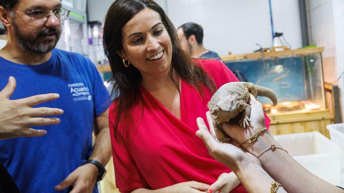 La concejala, Tatiana Gaudés, con un reptil.