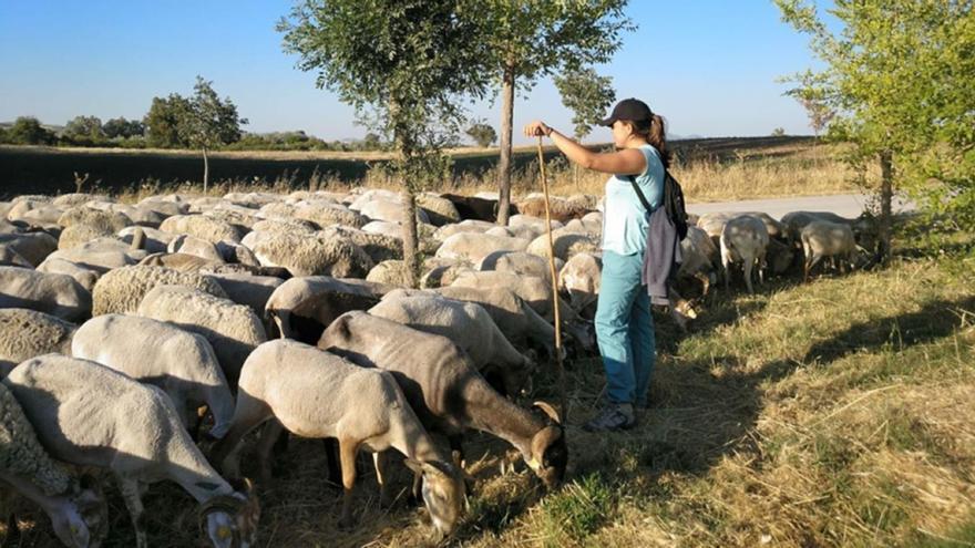 Una mujer realiza labores de pastoreo.  | JUNTA DE ANDALUCÍA