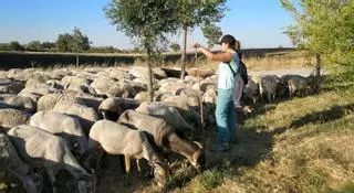 La Andalucía vacía también existe