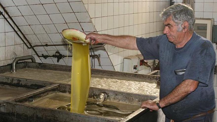 Las almazaras mantienen el proceso tradicional para la elaboración del aceite de oliva virgen
