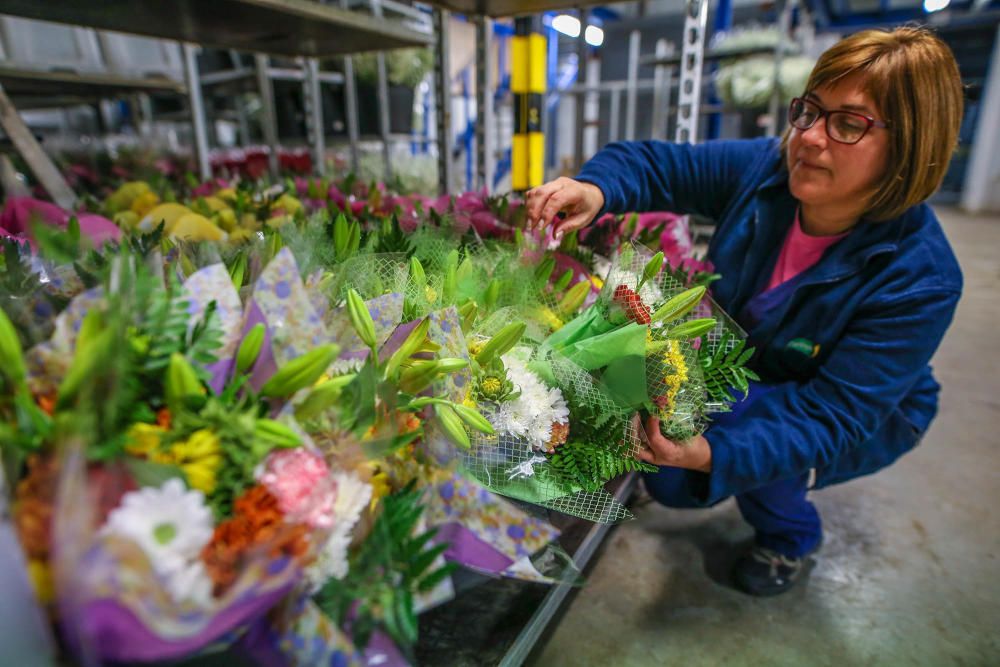 Un millón y medio de flores para el recuerdo