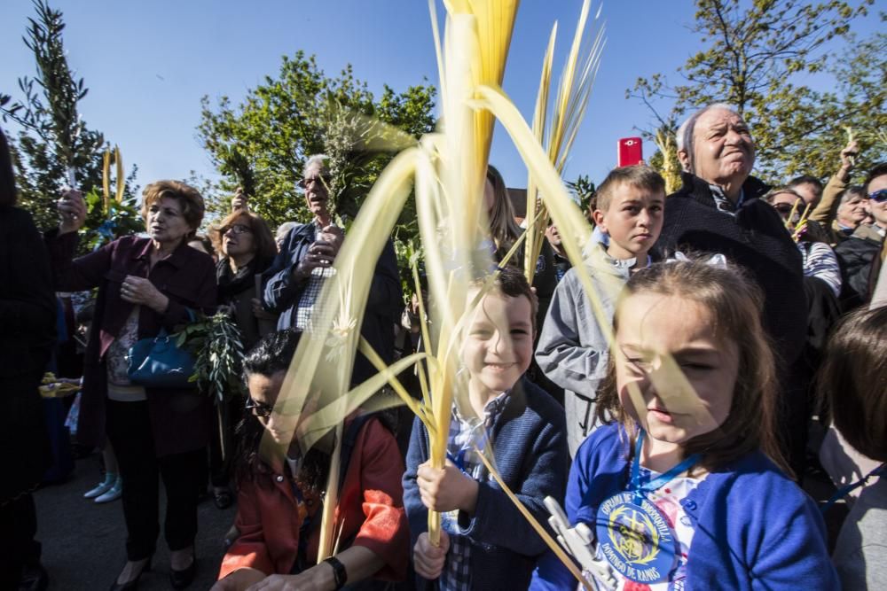 Procesión La Borriquilla en Oviedo