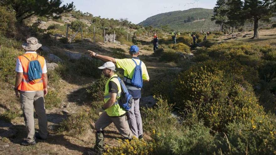 Un momento de los rastreos que se realizaron en la jornada de ayer en A Curota en busca de pistas de Diana.