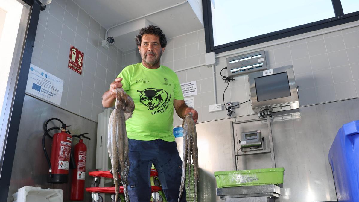 Francisco Vila, due&ntilde;o del &laquo;Fraylet&raquo;, en plena descarga de pulpo en la lonja del puerto de Canido.